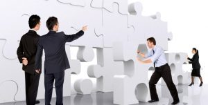 software testing process